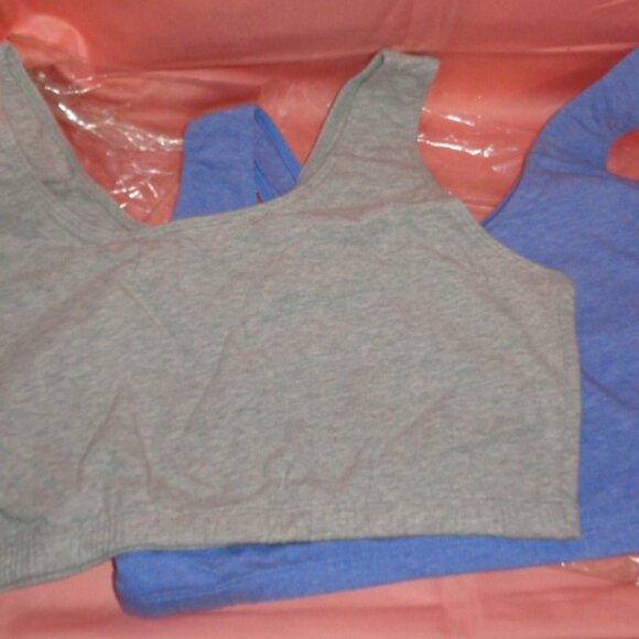 BRAND NEW FRUIT OF THE LOOM 2 PAK SPORTS BRAS-GRAY AND BLUE-SZ LARGE/TALLA 42 - Picture 3 of 4